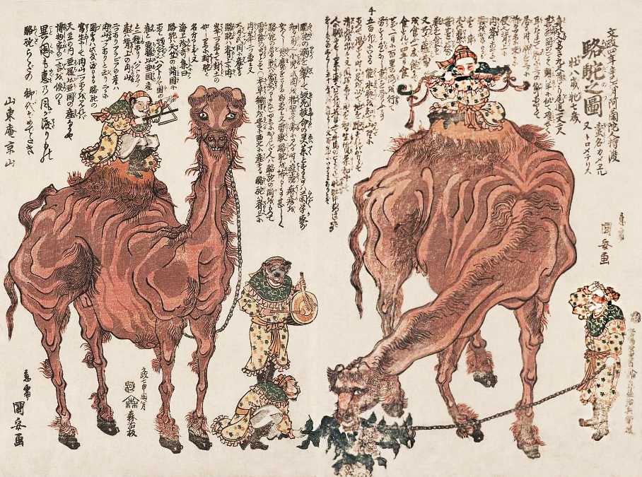 「ラクダの見世物」歌川国安 画