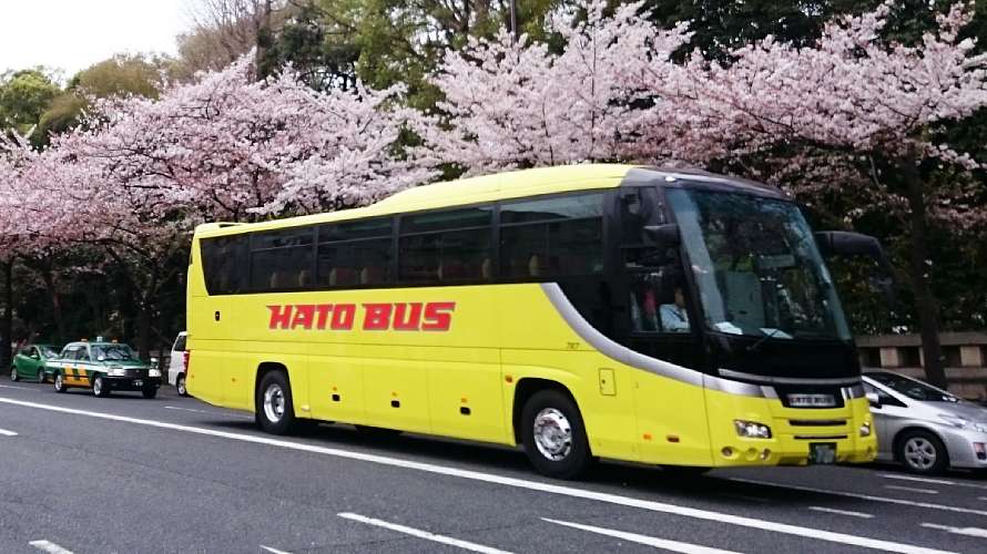 青から黄色に変わった｢はとバス｣は、昭和な観光!?